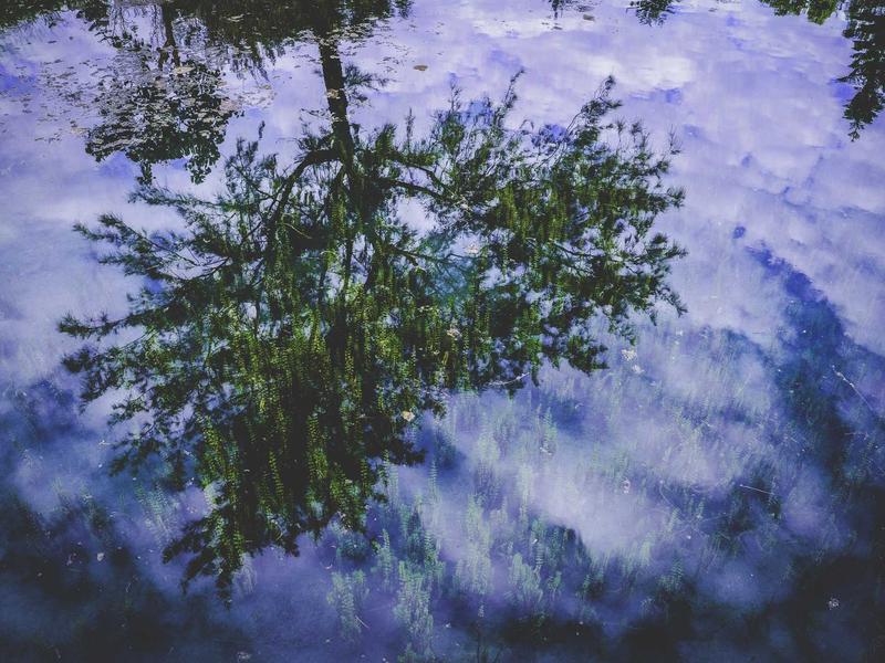 TixorQuineMav Guadalajara 3